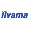 iiYAMA