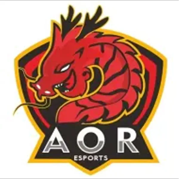 AOR ESPORTS AOR ESPORTS